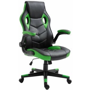 Herní židle BHM Germany Omis, černá / zelená