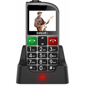 Mobiltelefon EVOLVEO EasyPhone FM, ezüst