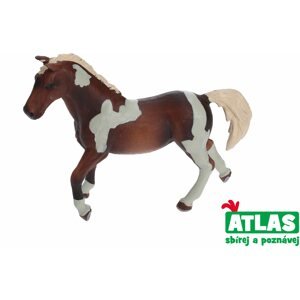 Figura Atlasz ló