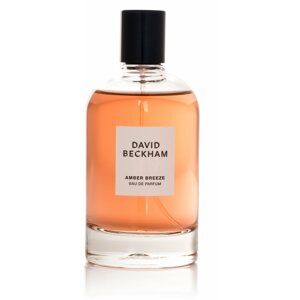 Parfüm DAVID BECKHAM Amber Freeze EdP 100 ml
