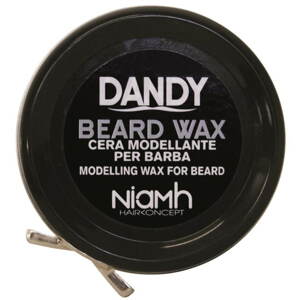 Szakállápoló viasz DANDY Beard Wax 50 ml
