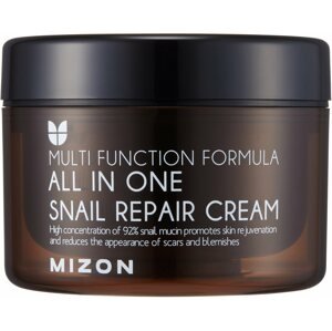Arckrém MIZON All In One Snail Repair Cream 120 ml