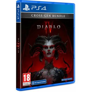 Konzol játék Diablo IV - PS4