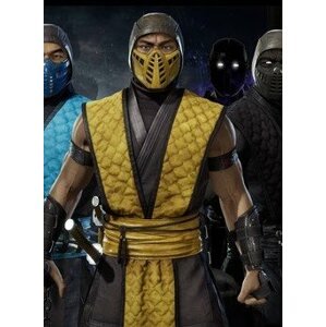 Videójáték kiegészítő Mortal Kombat 11 Klassic Arcade Ninja Skin Pack 1 (PC)  Steam DIGITAL