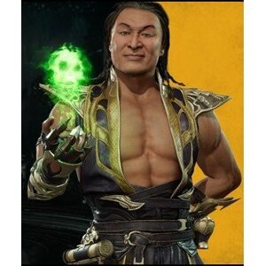 Videójáték kiegészítő Mortal Kombat 11 Shang Tsung (PC)  Steam DIGITAL