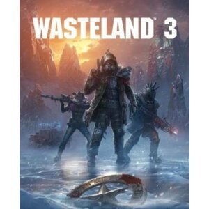 PC játék Wasteland 3 - PC DIGITAL