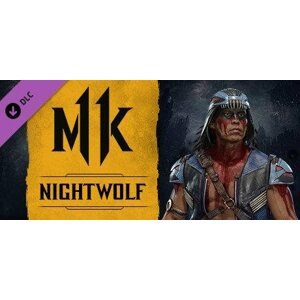 Videójáték kiegészítő Mortal Kombat 11 Nightwolf (PC) Steam
