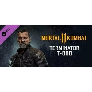 Videójáték kiegészítő Mortal Kombat 11 Terminator T-800 (PC) Steam kulcs