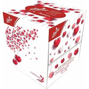 Papírzsebkendő LINTEO BOX Szerelembe esés ideje - balzsammal (60 db)