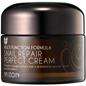 Arckrém MIZON Snail Repair Perfect Cream 50 ml
