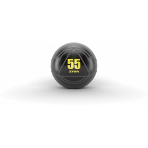 Fitness labda ZIVA Gimnasztikai labda 55 cm, fekete