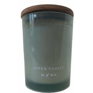 Gyertya DW Home Aspen Forest 420 g