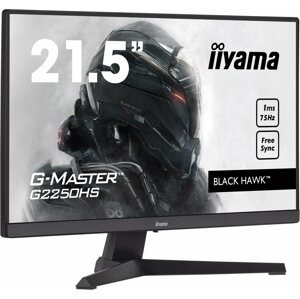 LCD monitor 21,5" iiyama G-Master G2250HS-B1