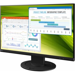 LCD monitor 23" EIZO FlexScan EV2360-BK